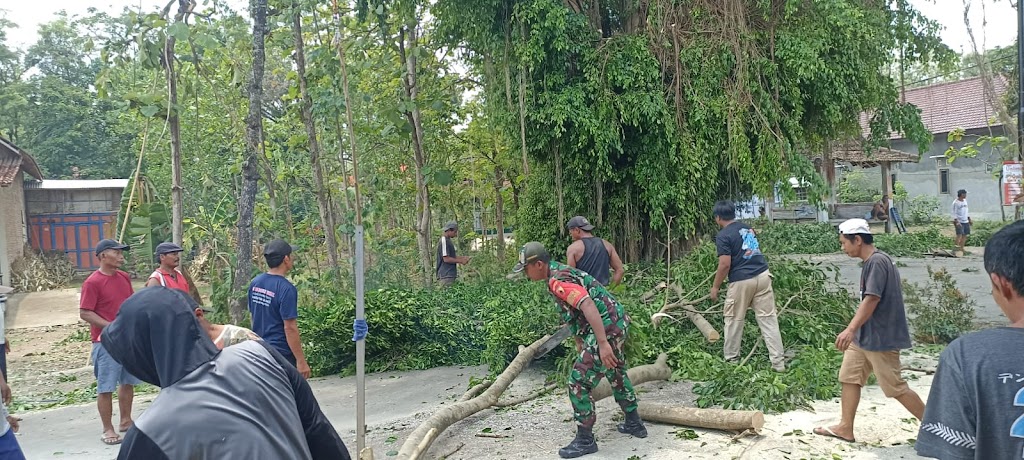 Kerja Bakti,  Babinsa Kodim Ponorogo Bersihkan Ranting Pohon Bersama Warga